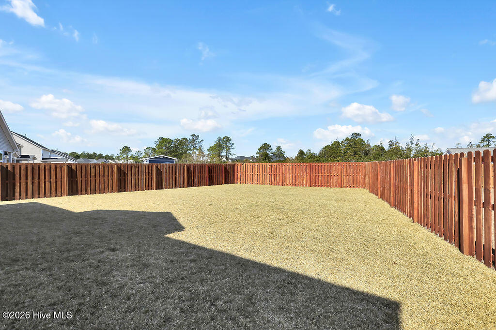 100555659 | Photo 33