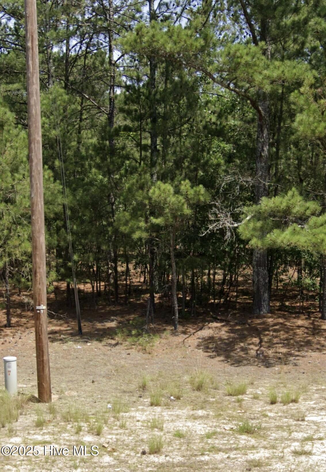 Homes for sale in Jackson Springs, NC | 0 Center Bapt Ch Rd, Jackson Springs, NC 27281 | MLS# 100539643