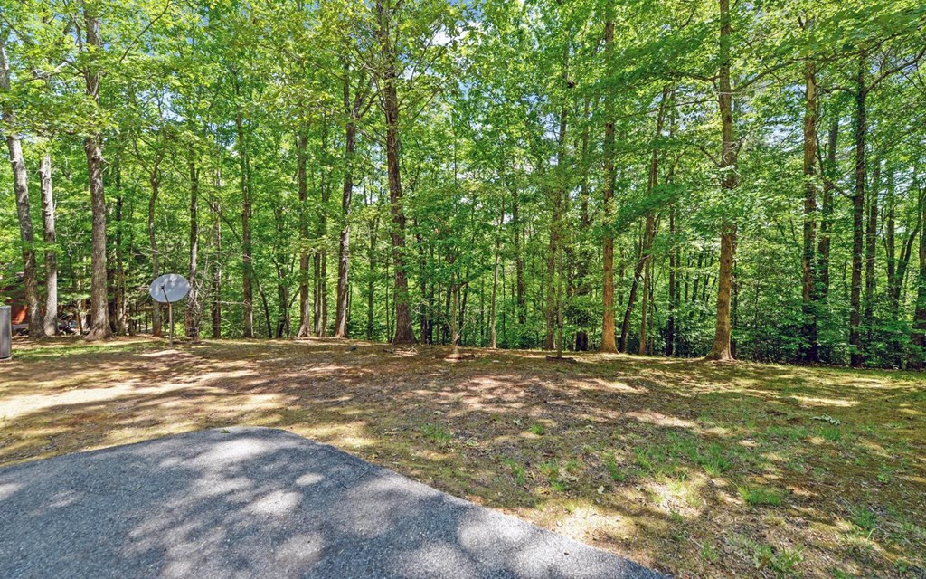 164 Dew Drop Lane, Murphy, NC 28906 Listing Photo  23