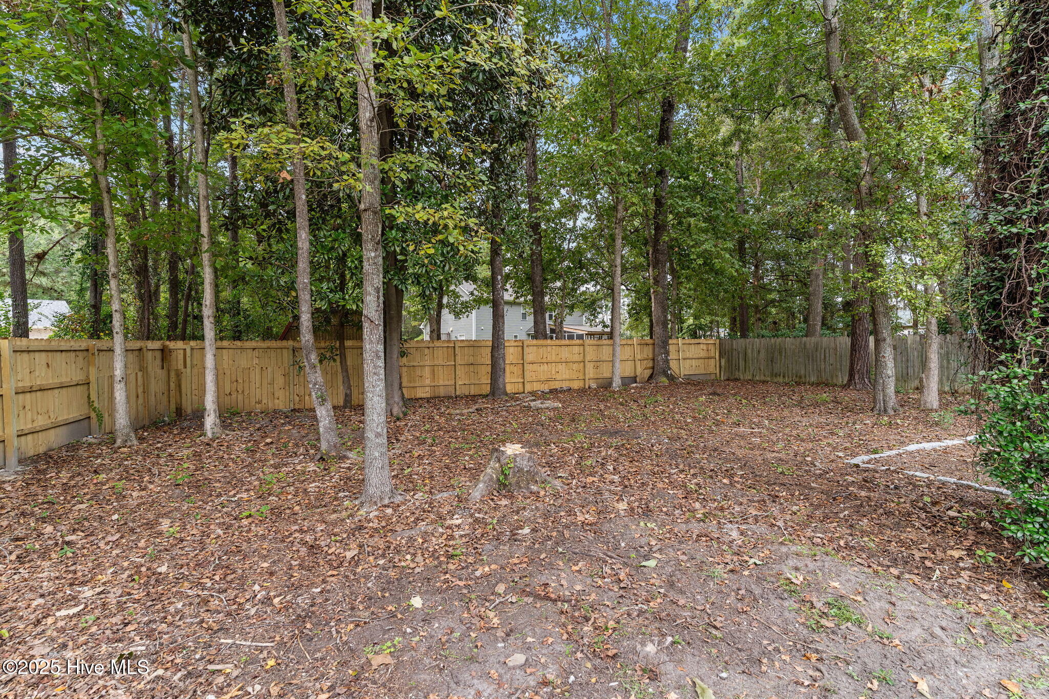 100534535 | Photo 45