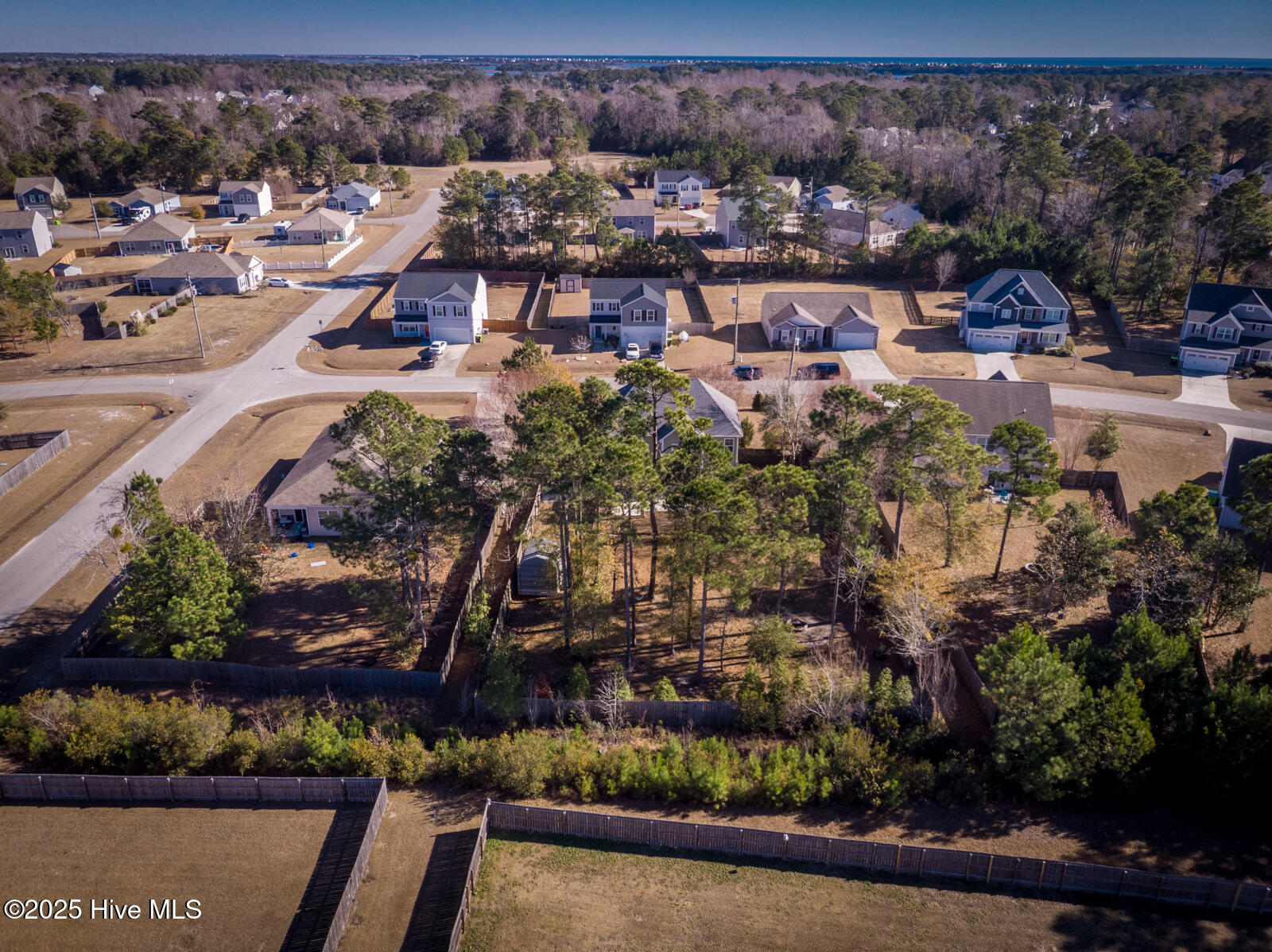 100546251 | Photo 60