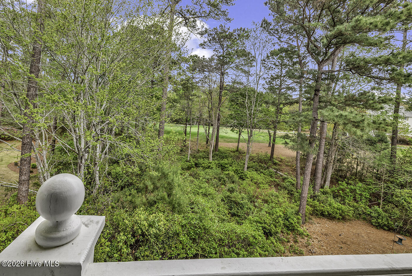 100566110 | Photo 35