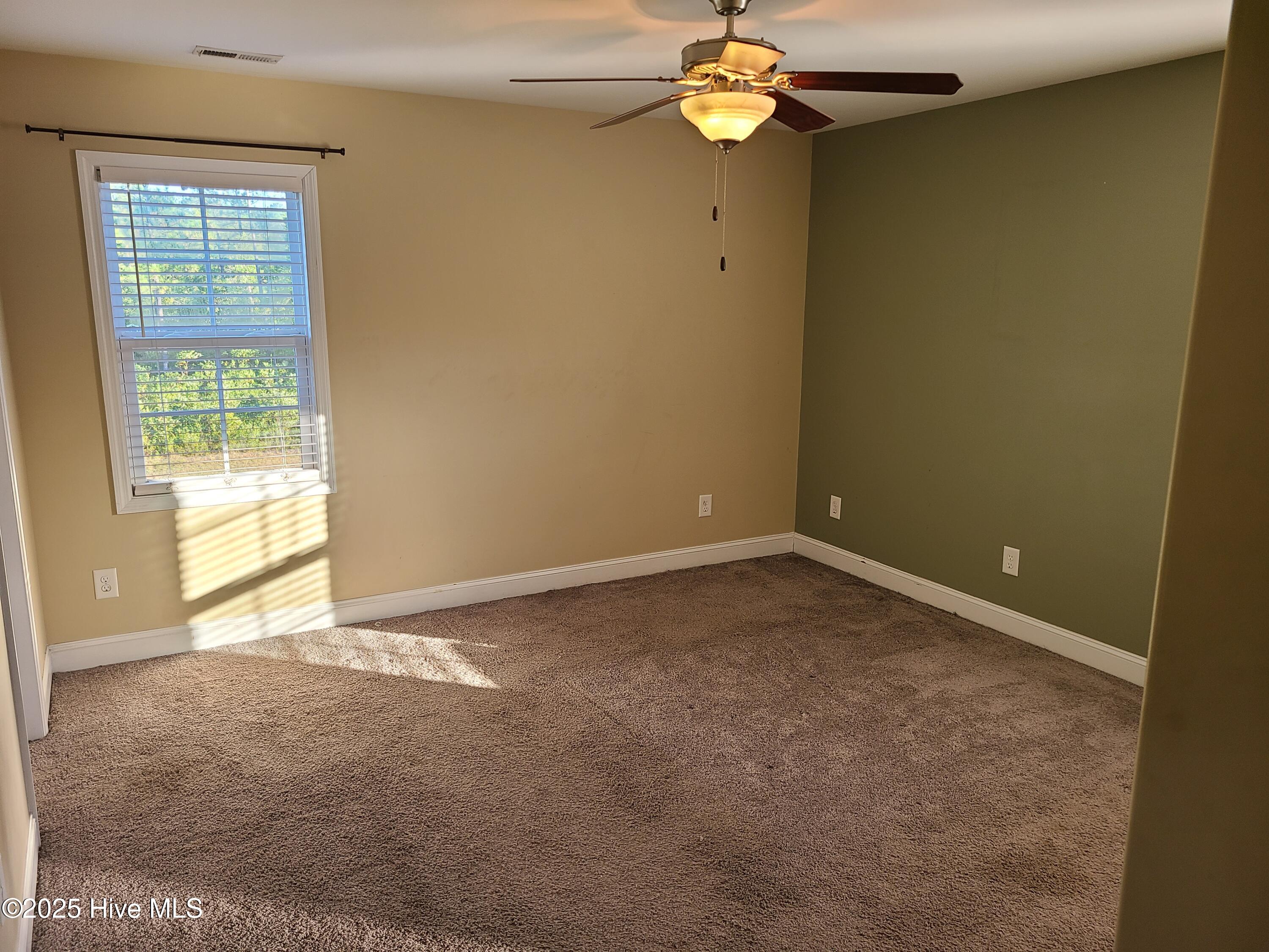 100539492 | Photo 17