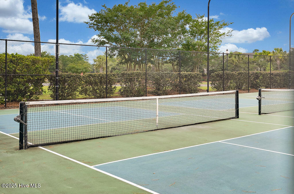 100531684 | Photo 45