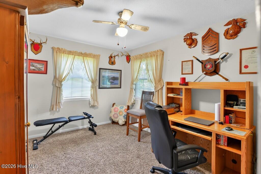 3 Dobbs Circle,Havelock