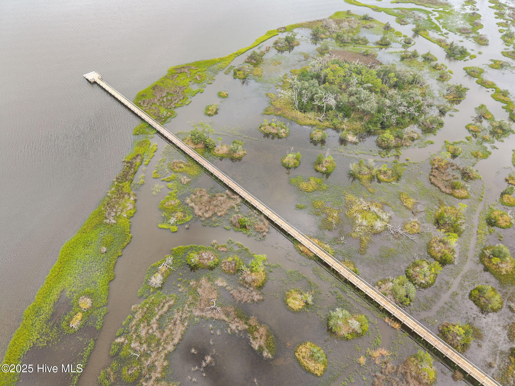 100530646 | Photo 66