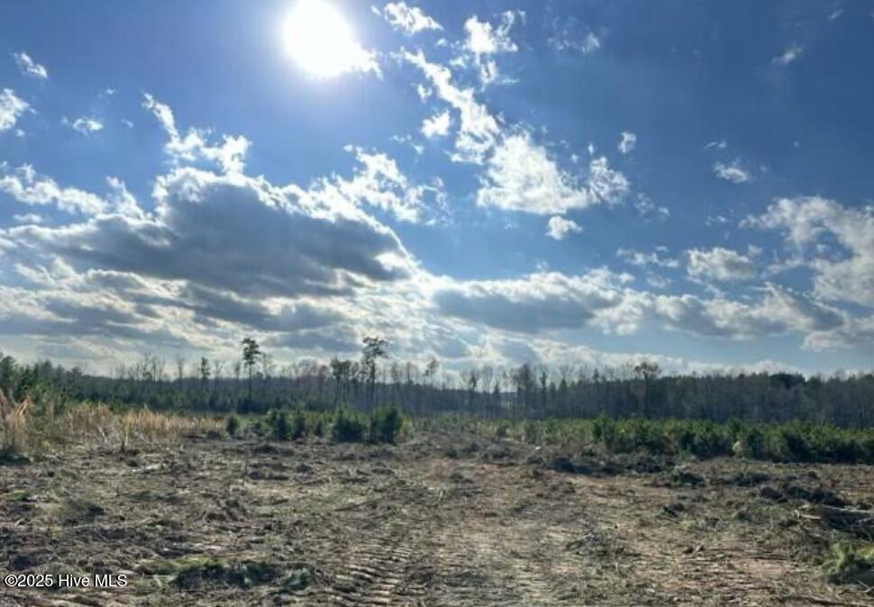 Homes for sale in Spring Hope, NC | Lot 2 Sheep Pasture Rd, Spring Hope, NC 27882 | MLS# 100488366