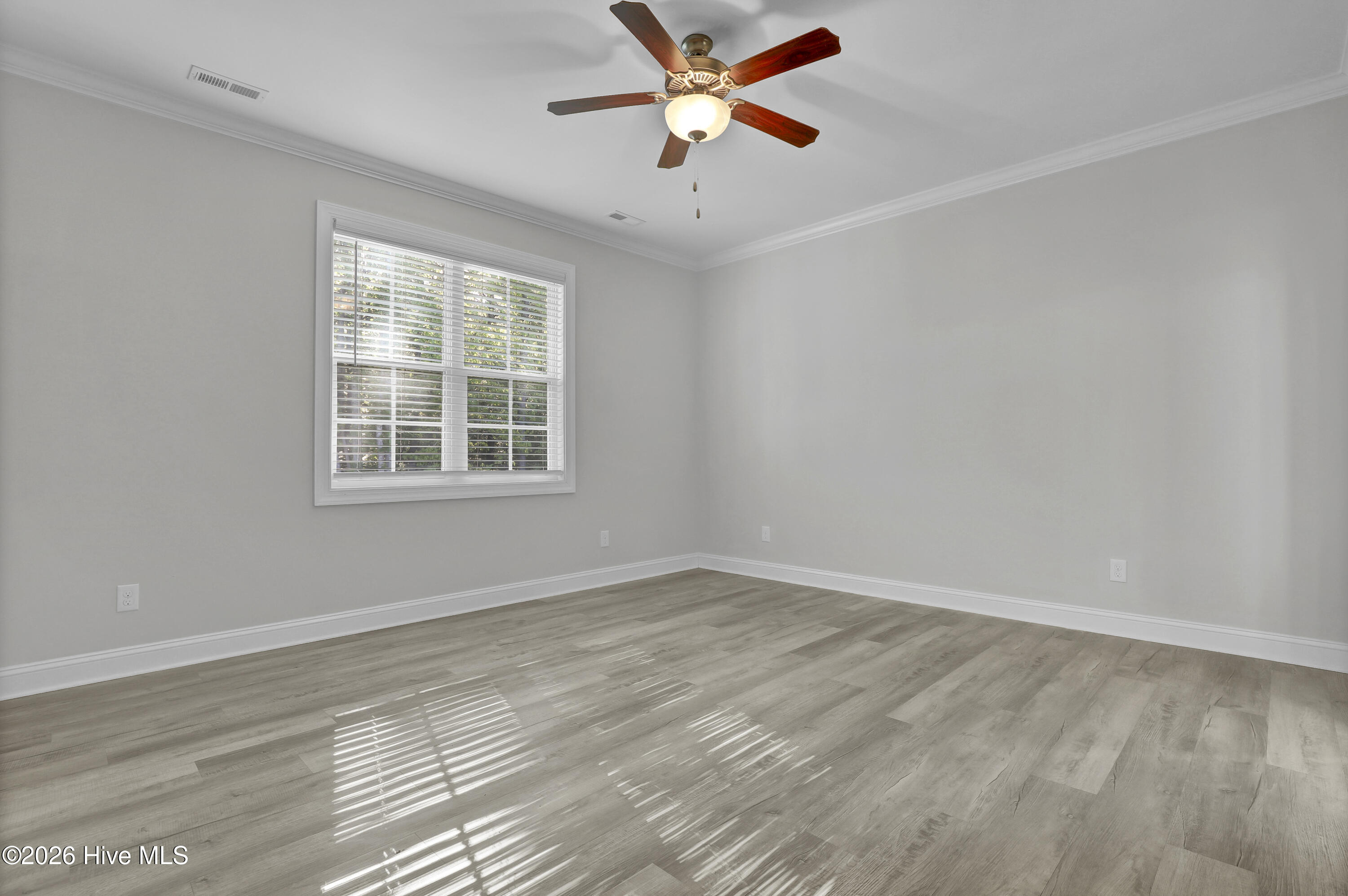 100569069 | Photo 18