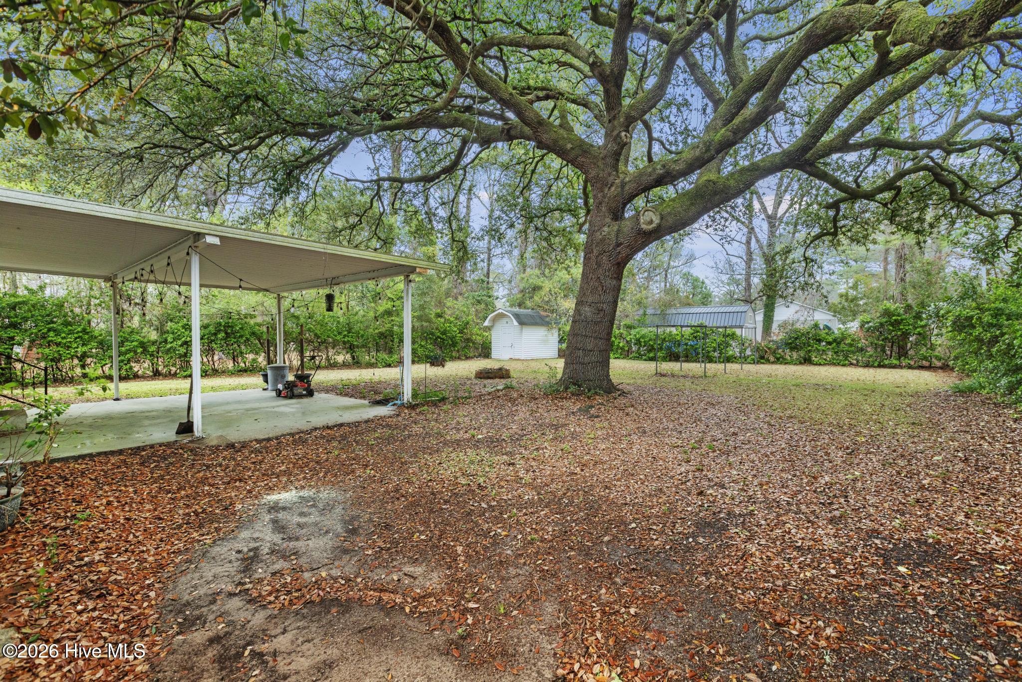 100560797 | Photo 21