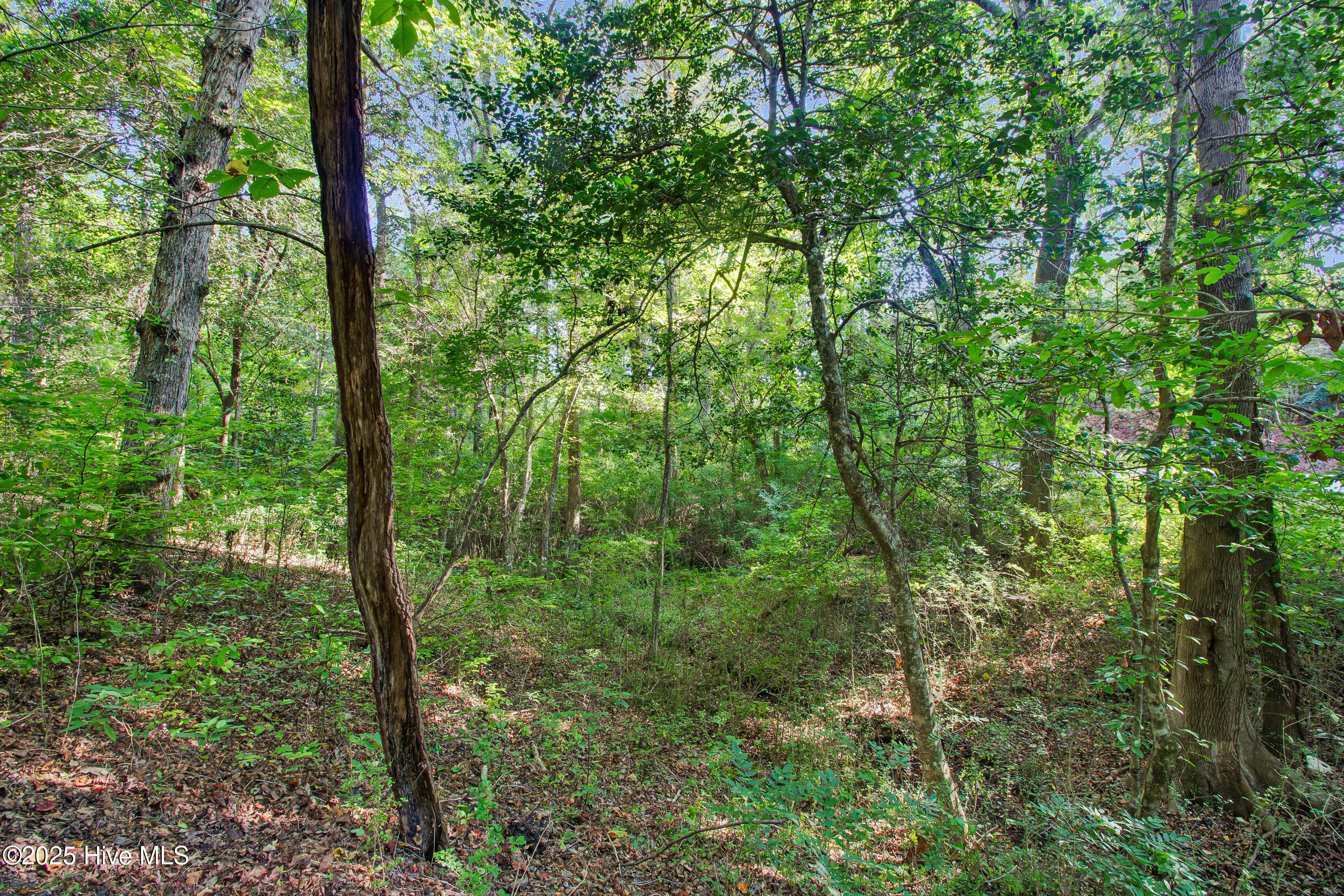 100535721 | Photo 24