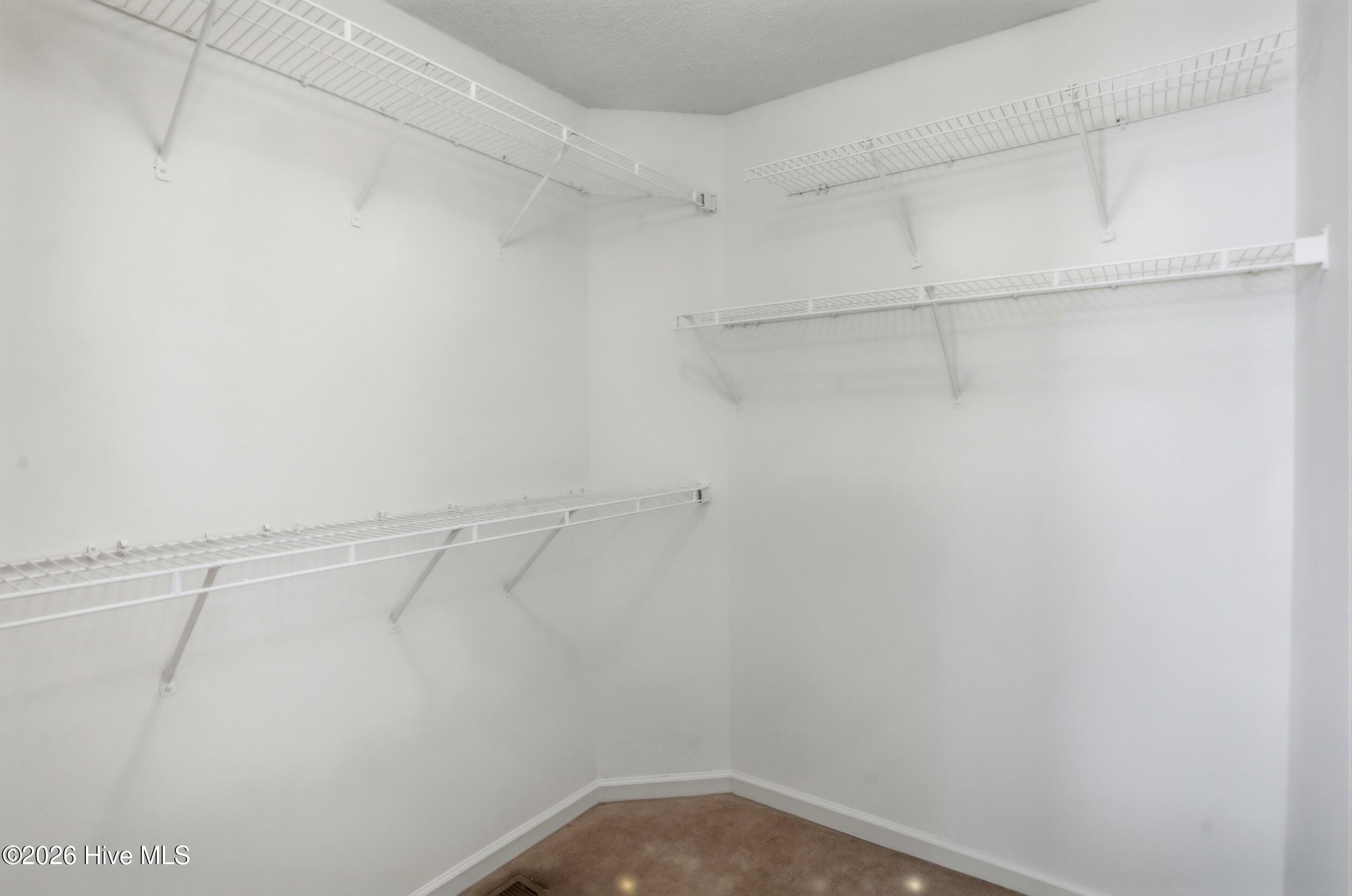 100553859 | Photo 23