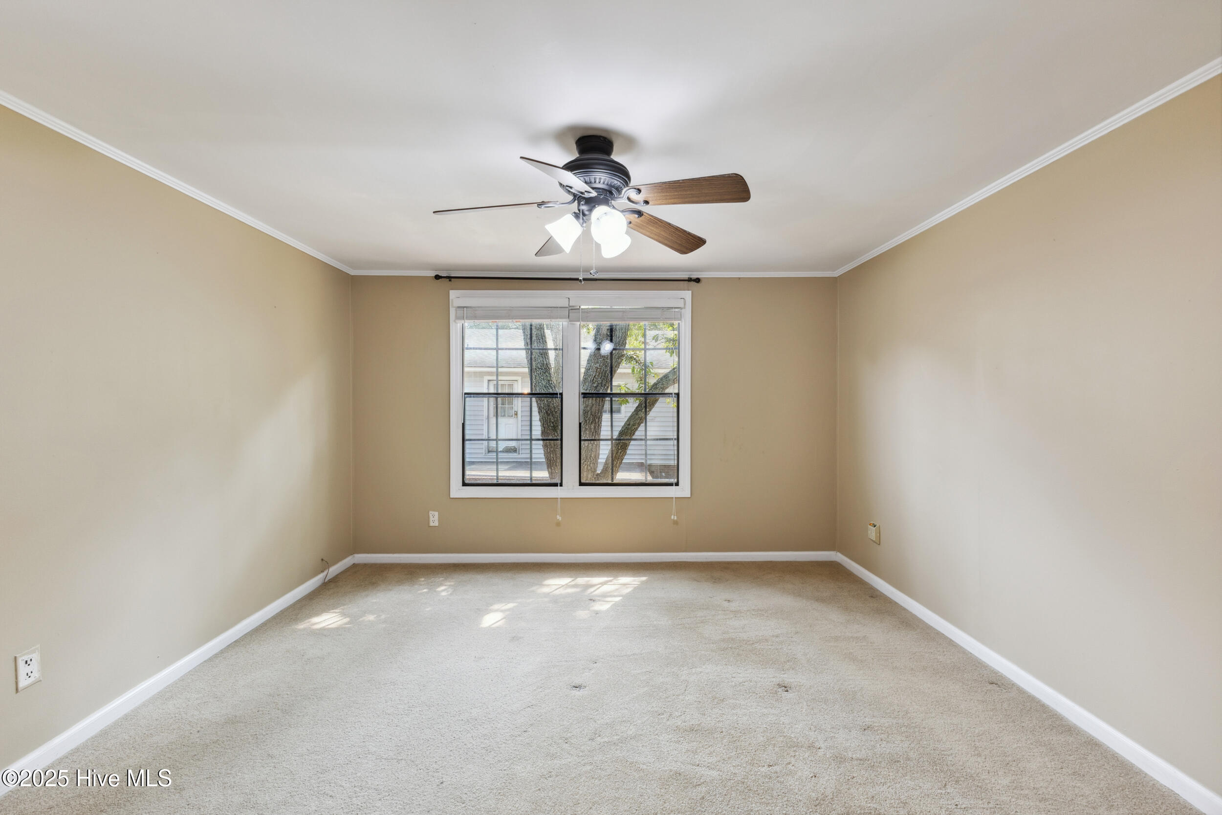 100511542 | Photo 14