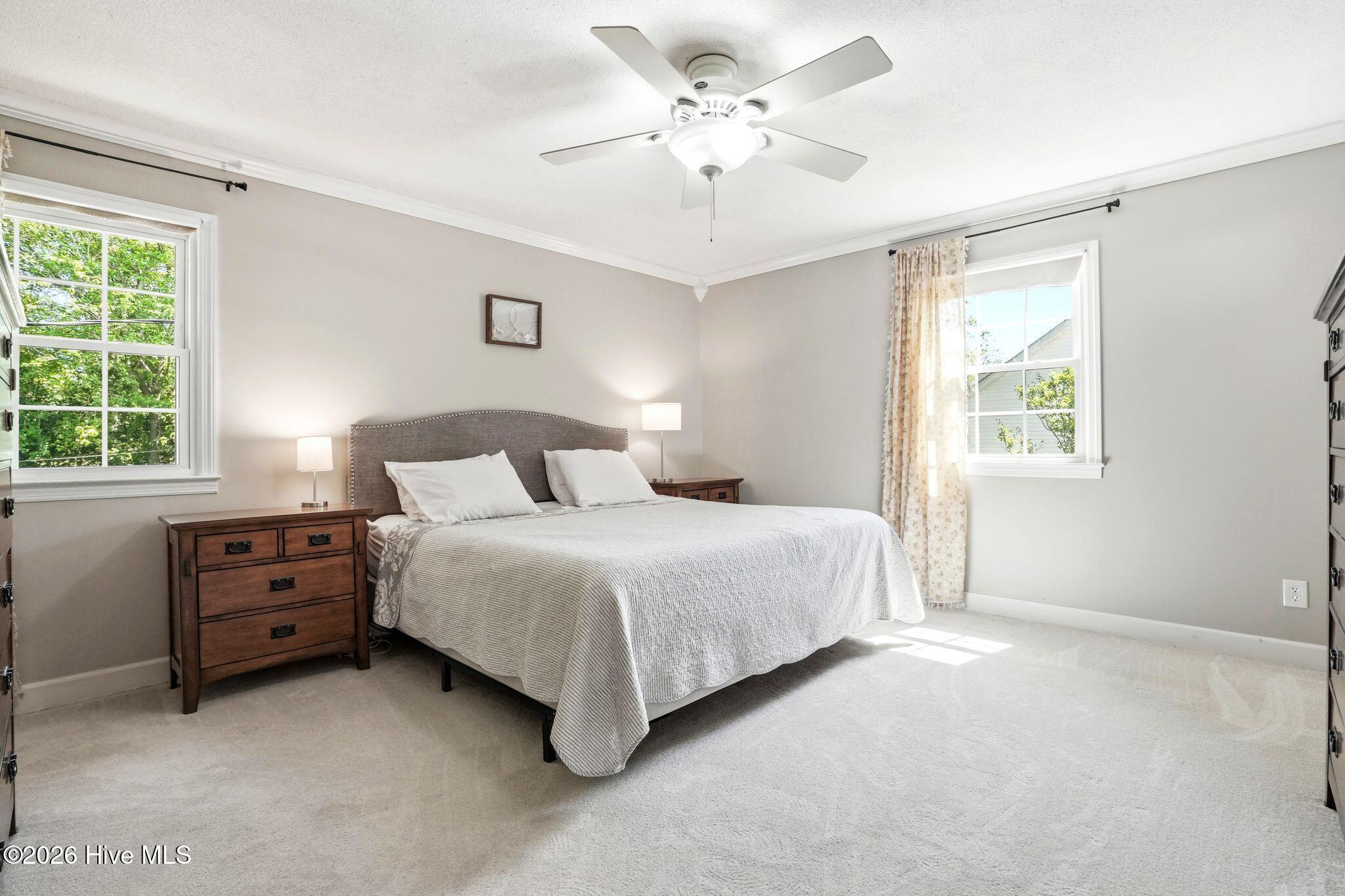 100568648 | Photo 39