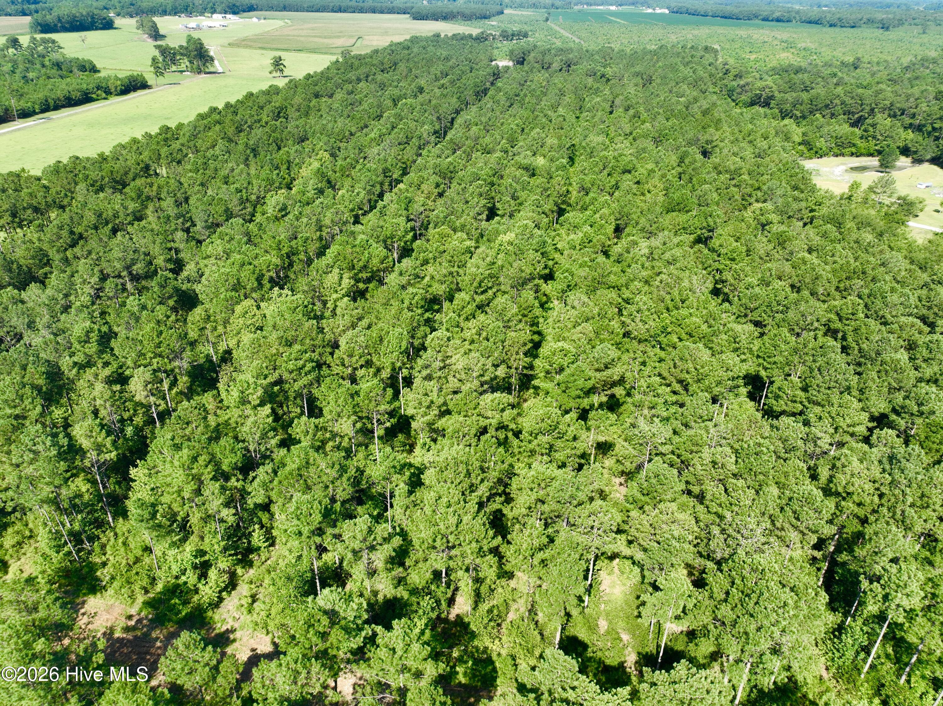 0 Cedar Fork Road,Beulaville
