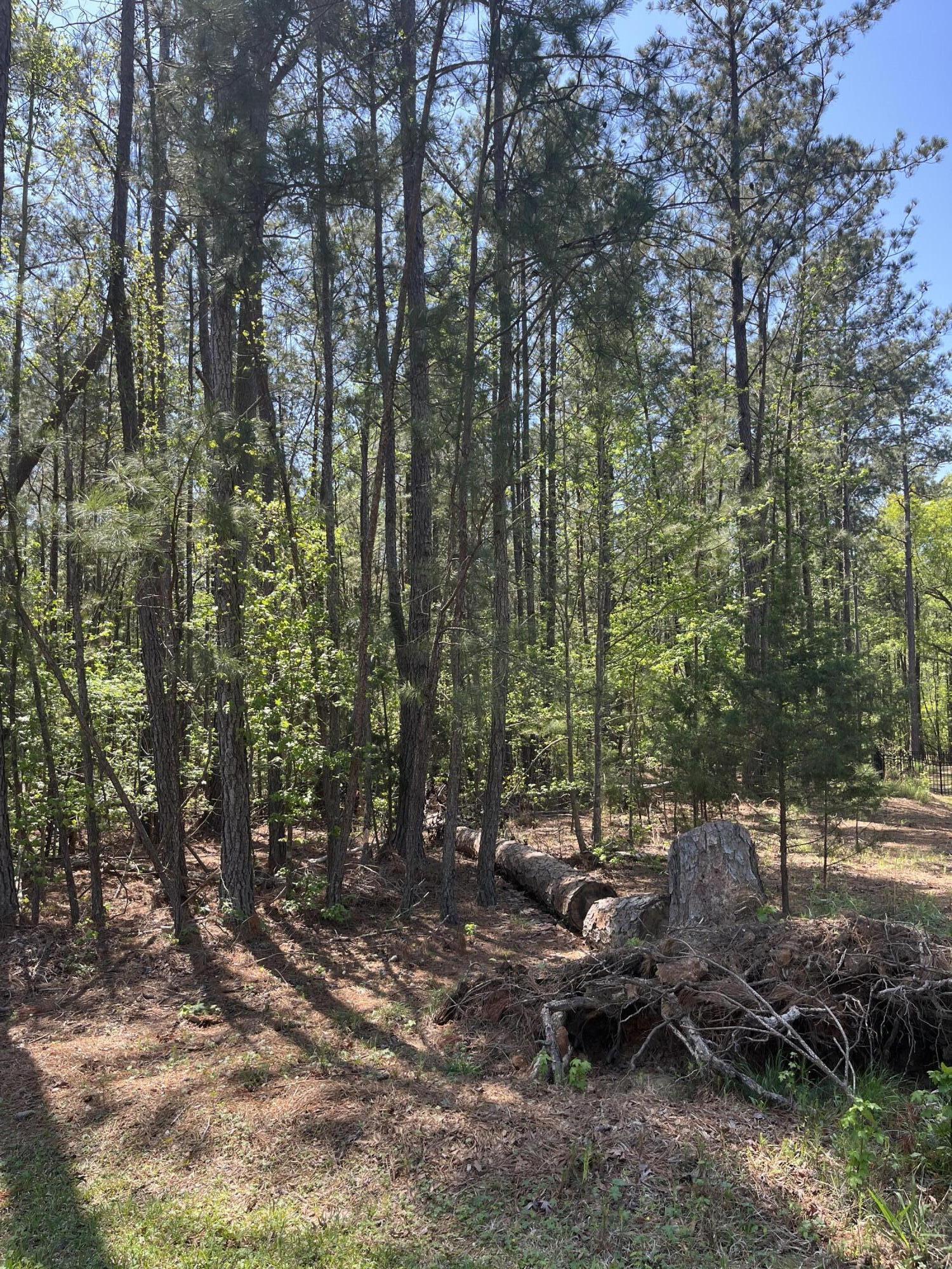 L14 B39 Antioch Drive, Mccormick, SC, 29835