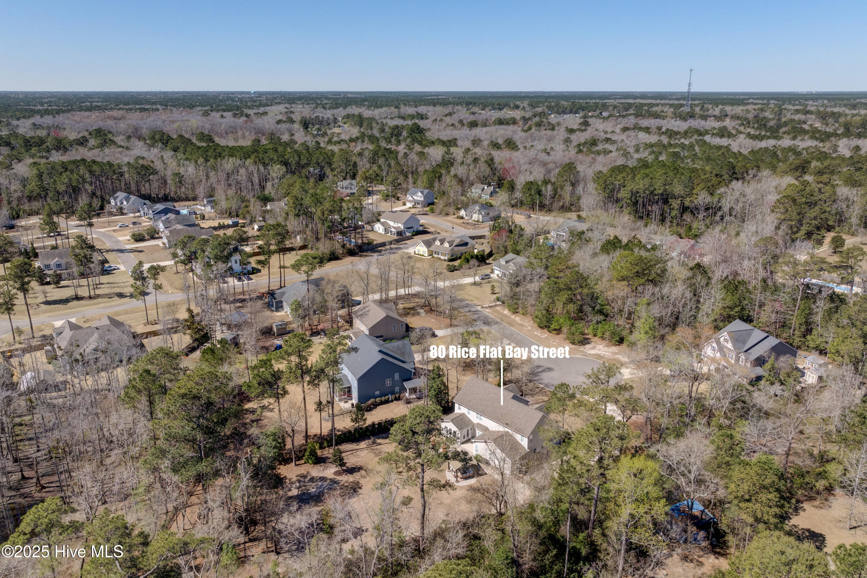 100496540 | Photo 89