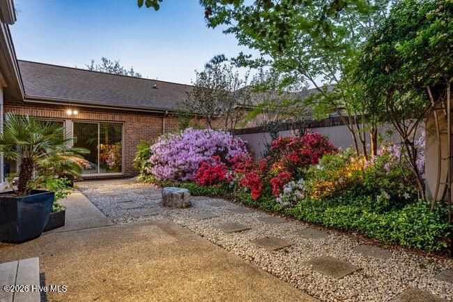 100567755 | Photo 38