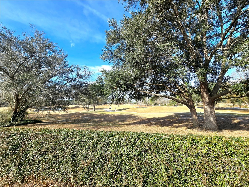 Homes for sale in Ellabell, GA | 58 Lansing Dr, Ellabell, GA 31308 | MLS# SA346486