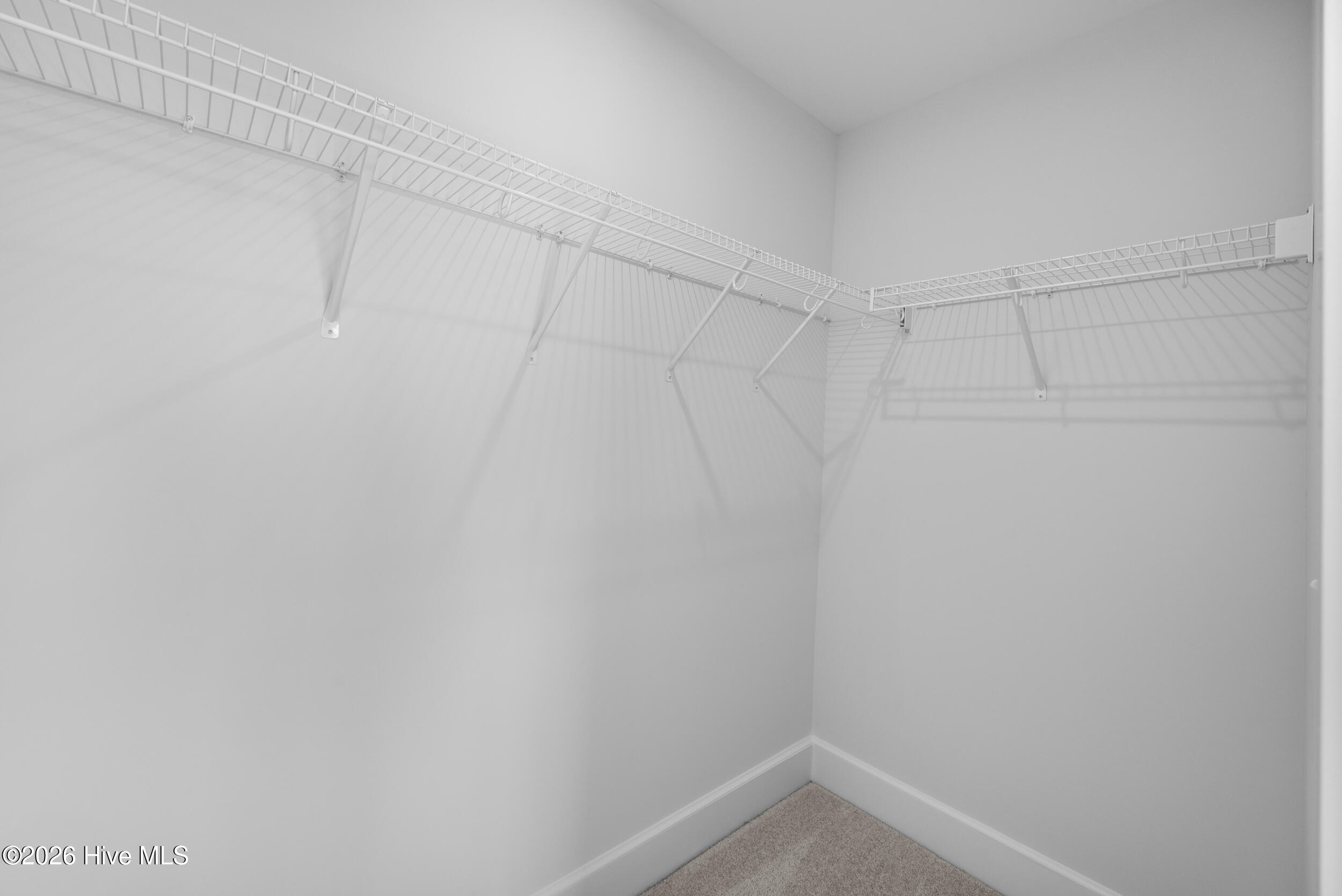 100560726 | Photo 35