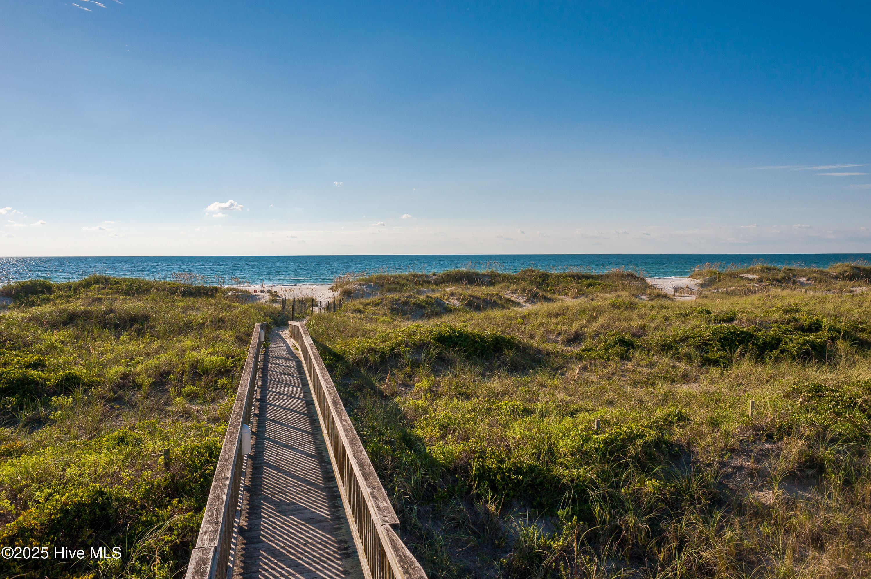 100546963 | Photo 31