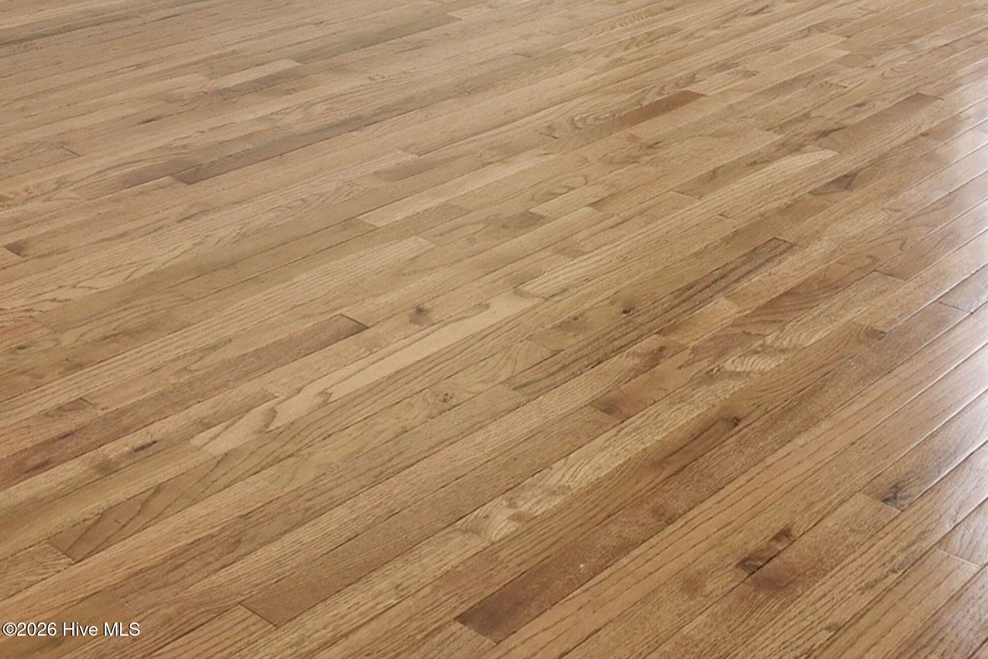 100560935 | Photo 15