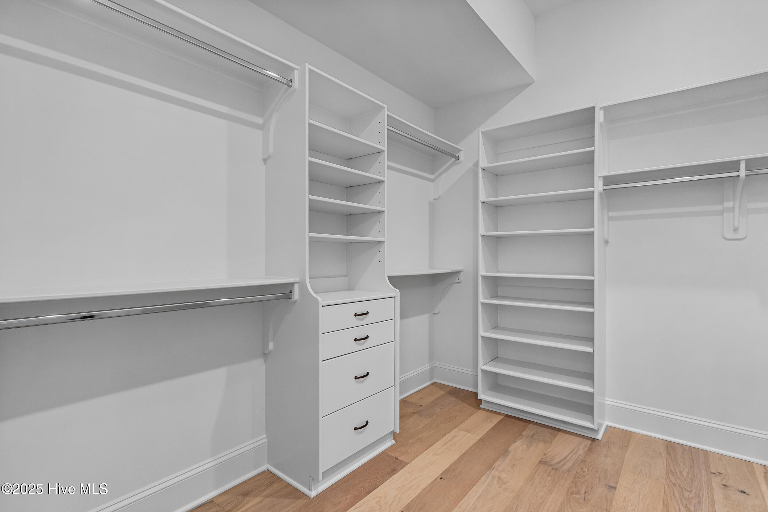 Primary closet with built-ins
