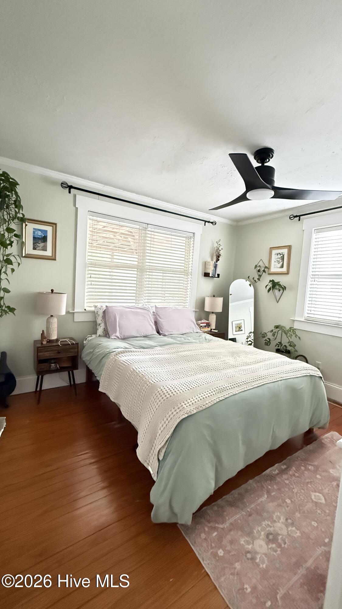 100556908 | Photo 11