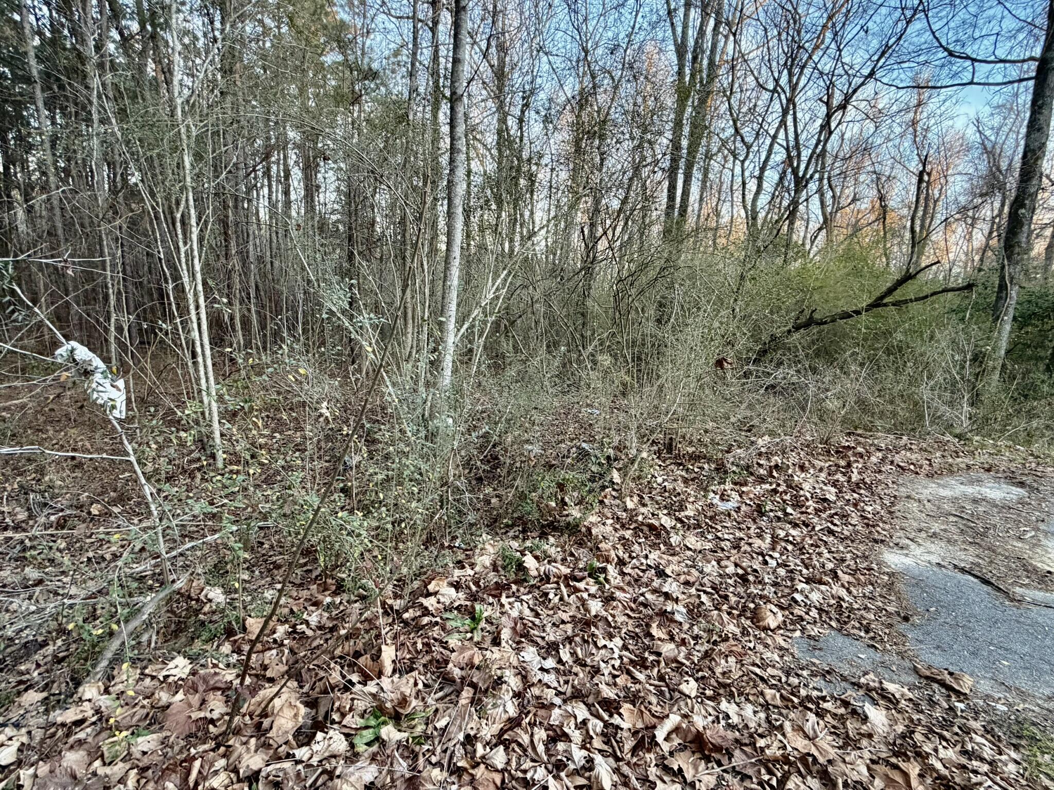 3619,3627, SE Bethany Court, Dearing, GA, 30808