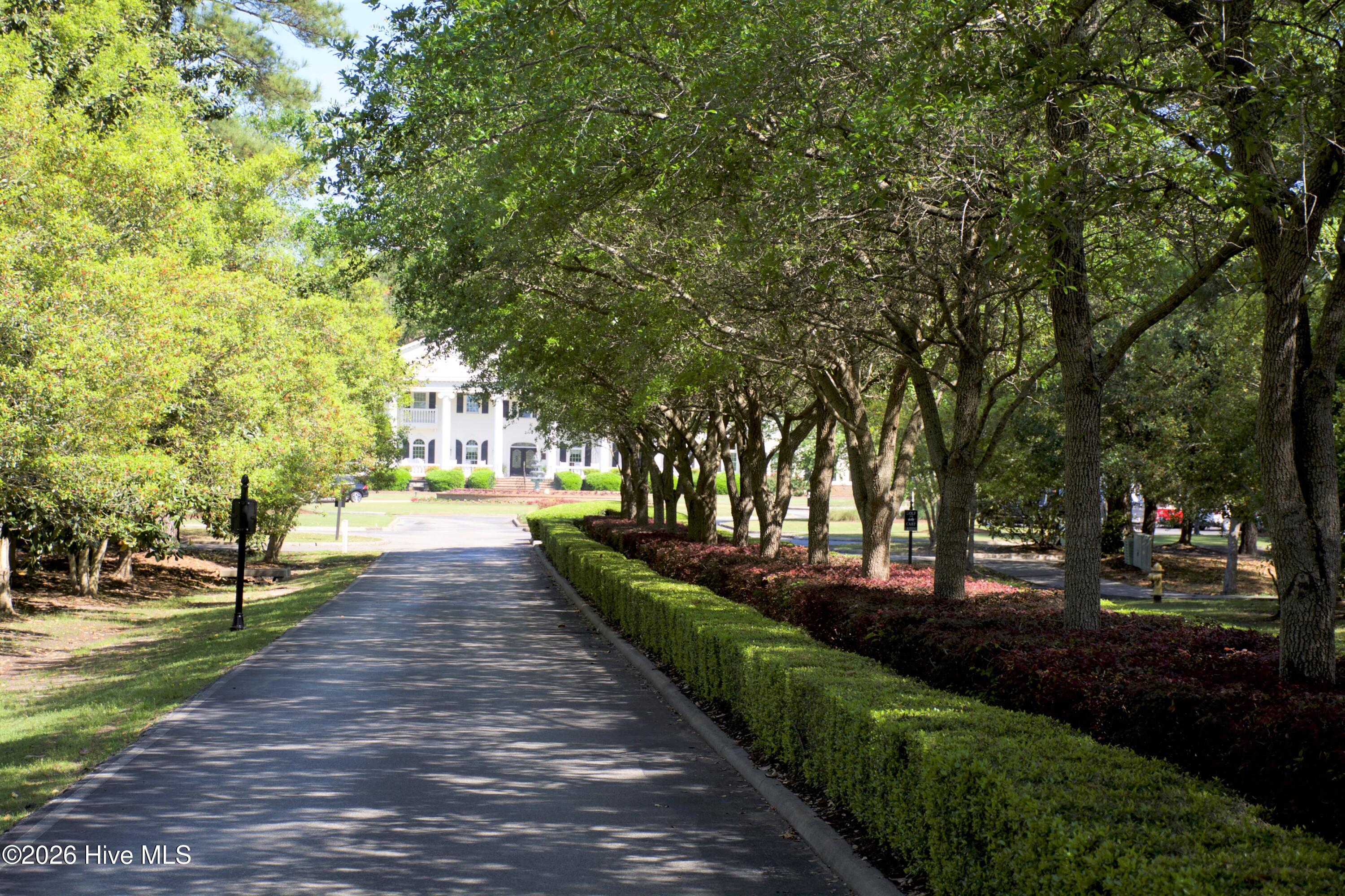 100555418 | Photo 43