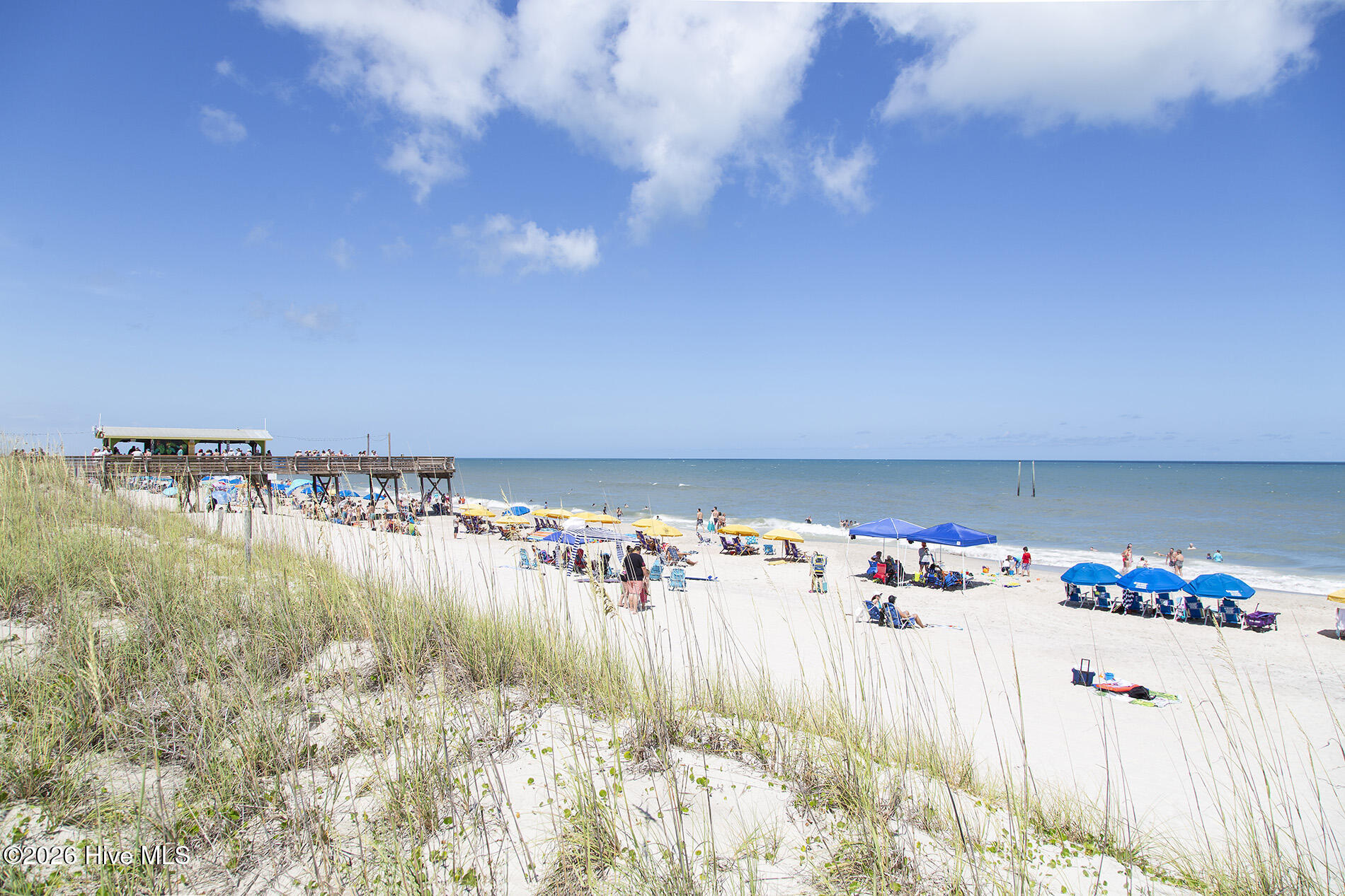 100562975 | Photo 71