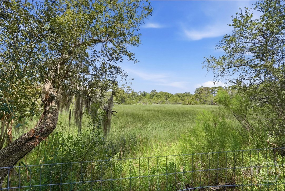 Marsh view