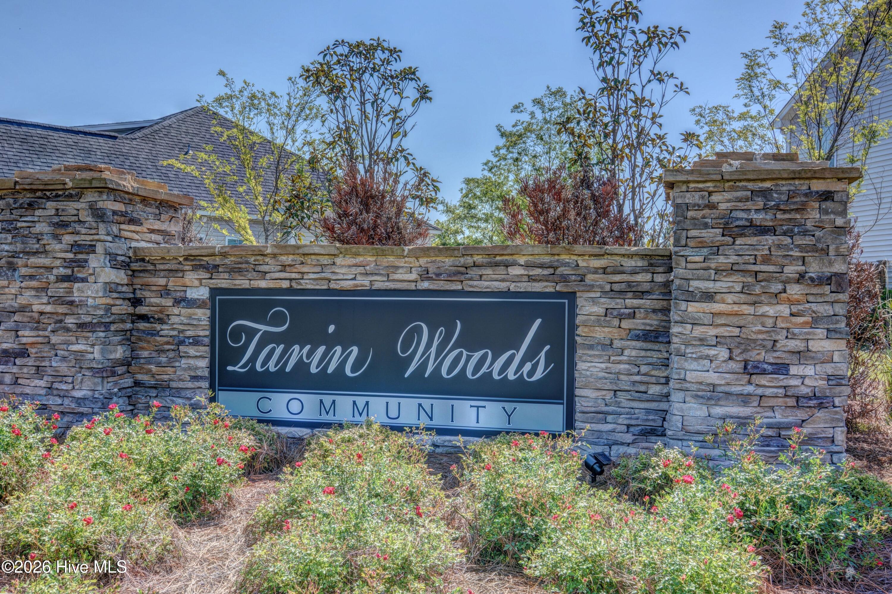 100553232 | Photo 29