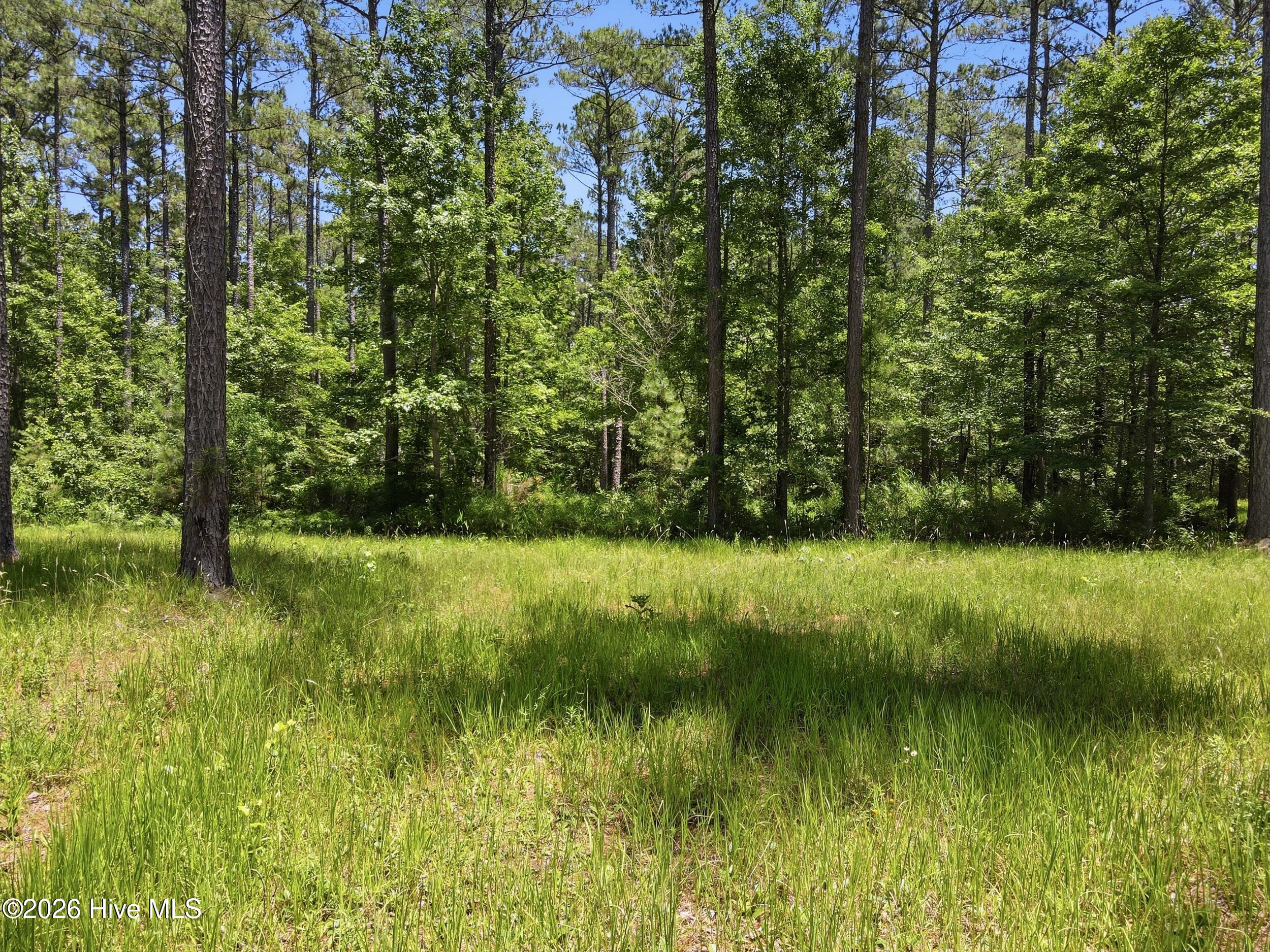 130 Ocracoke Drive,Oriental