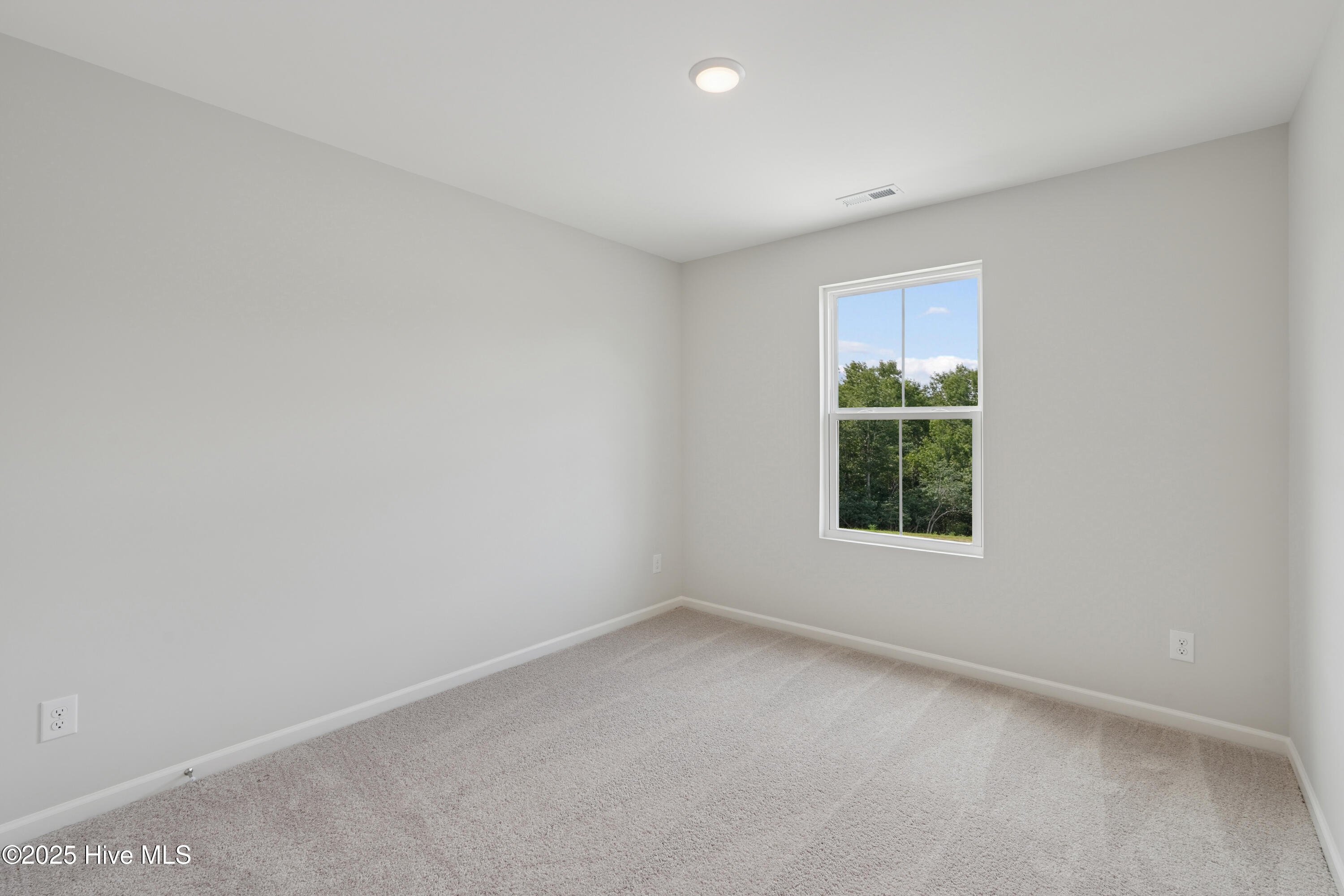 100542499 | Photo 20