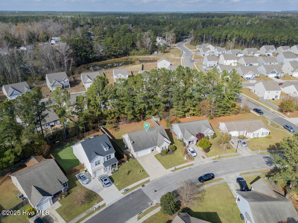 100543937 | Photo 31