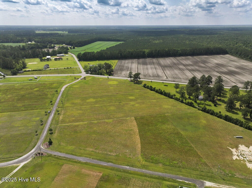 Homes for sale in Belhaven, NC | 02 Dallas Paul Road, Belhaven, NC 27810 | MLS# 100514104