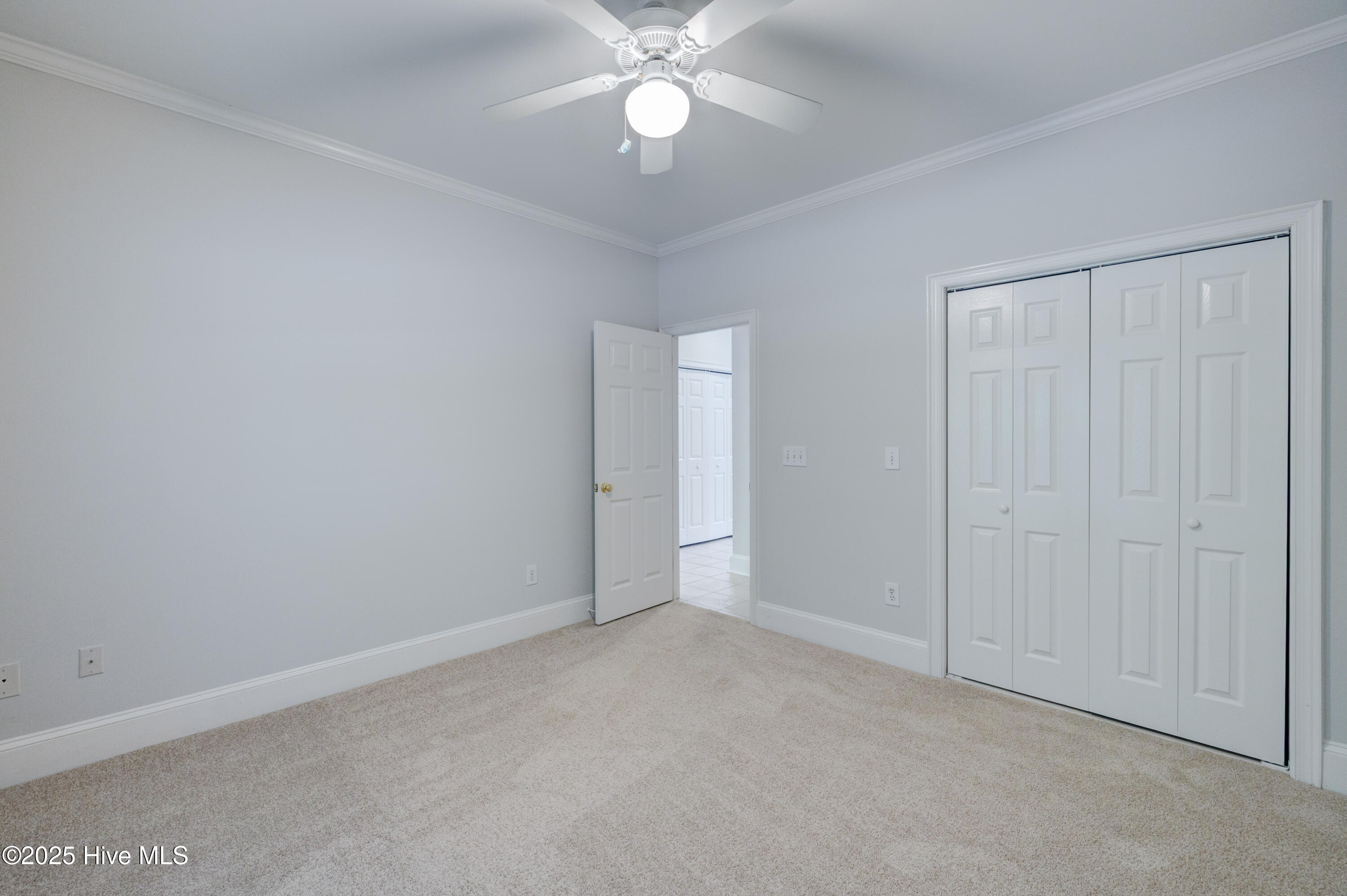 100534923 | Photo 22