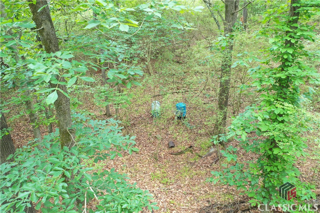 00 Highway 29 N UNIT A, Danielsville, GA, 30633