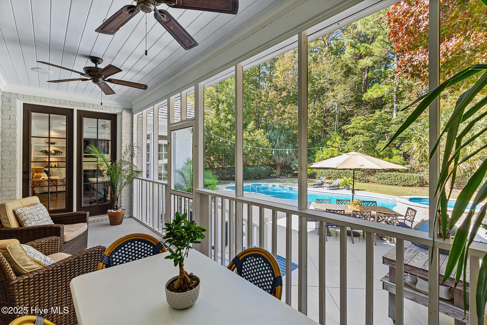 100541349 | Photo 58