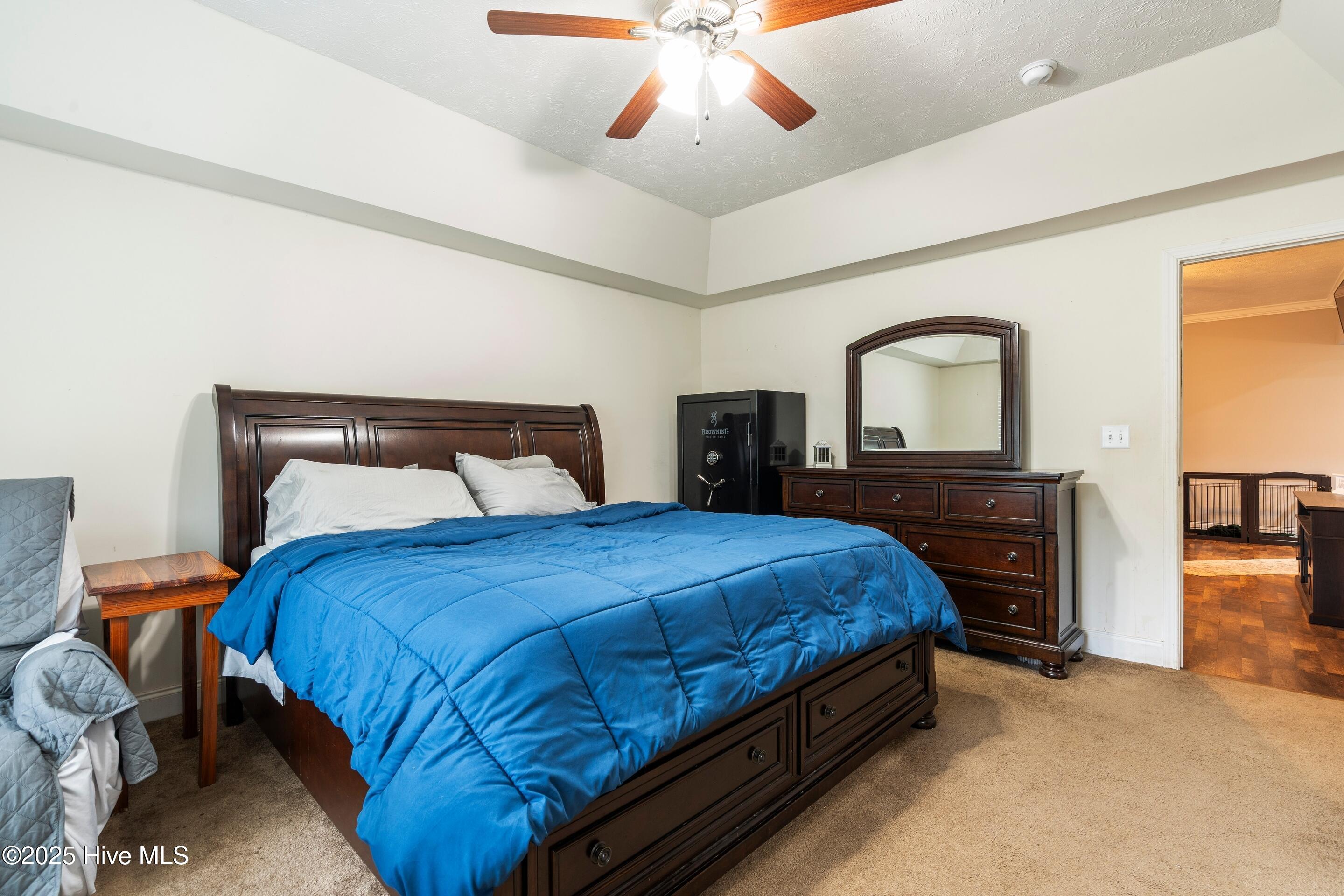 100537388 | Photo 35