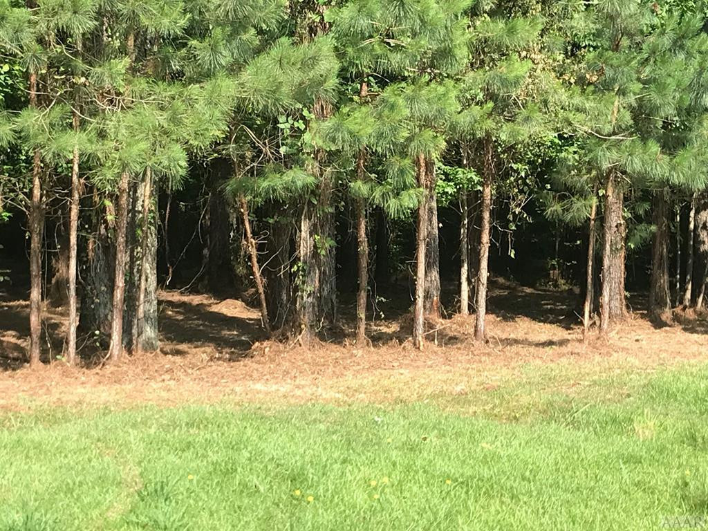 Exterior photo of 805 70 Batts Island Road, Edenton, NC 27932. MLS: 8108093