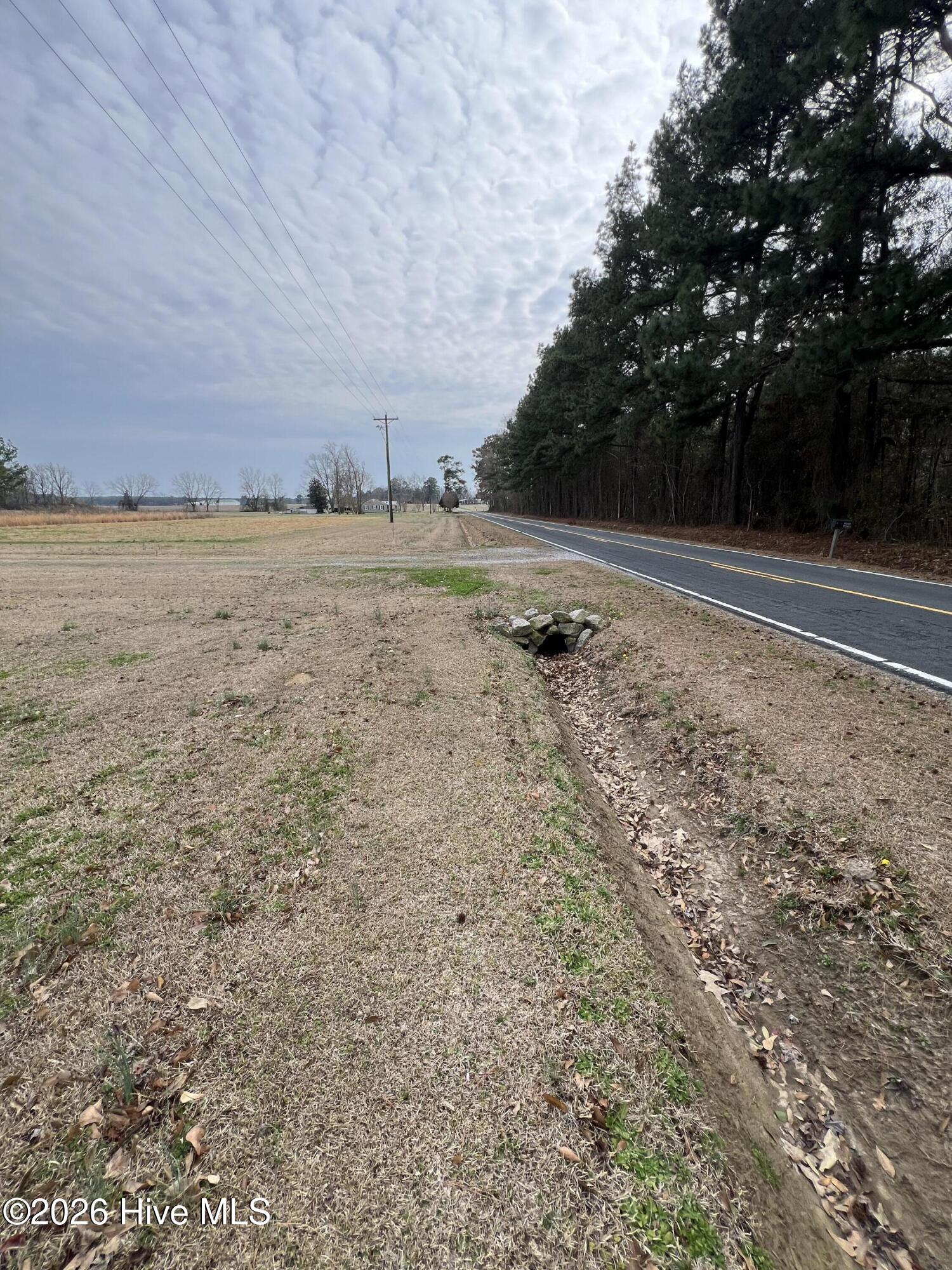 100558277 | Photo 32