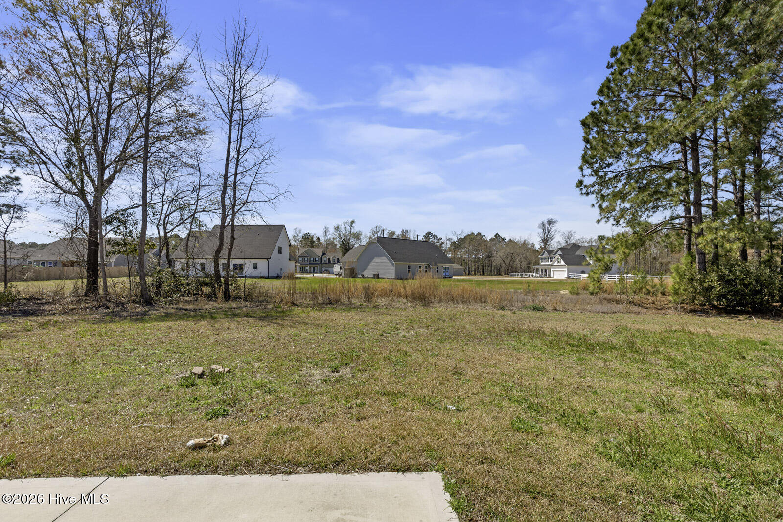 100562382 | Photo 22