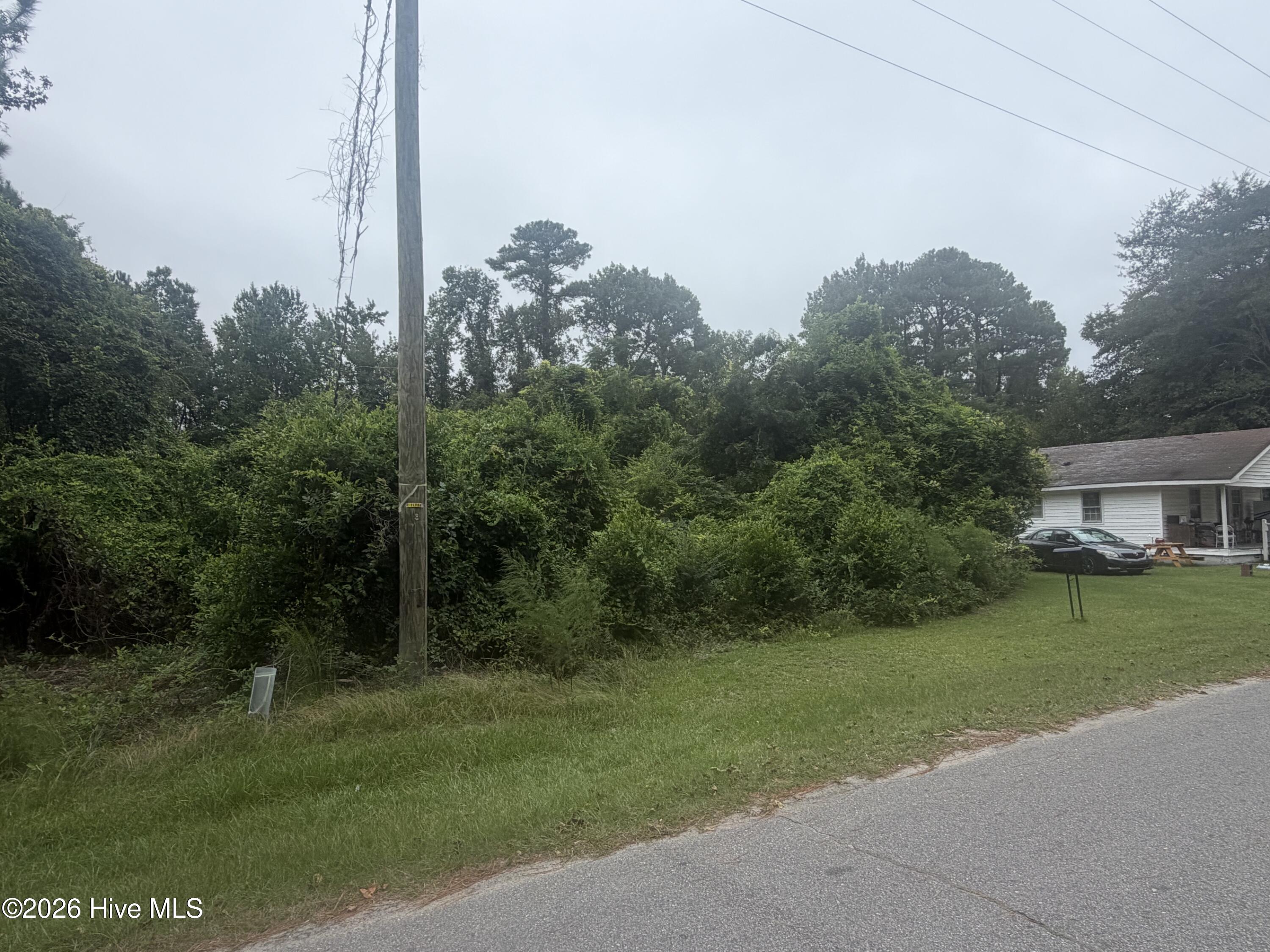 Photo 2 of Land for sale at (Undisclosed), Salemburg, NC 28385 | MLS# 100605335 | Listing updated on 2026-10-05