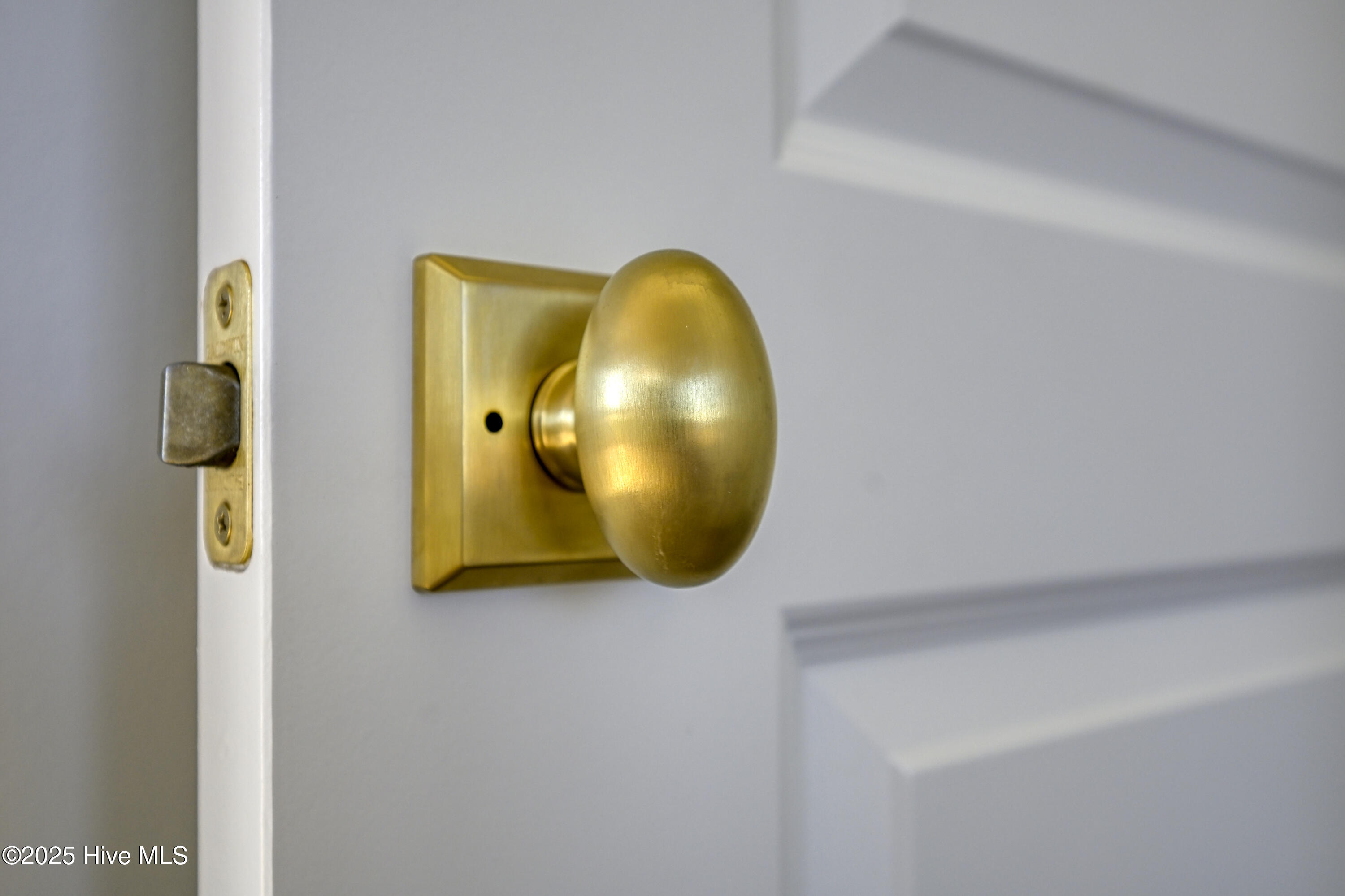 100516070 | Photo 61