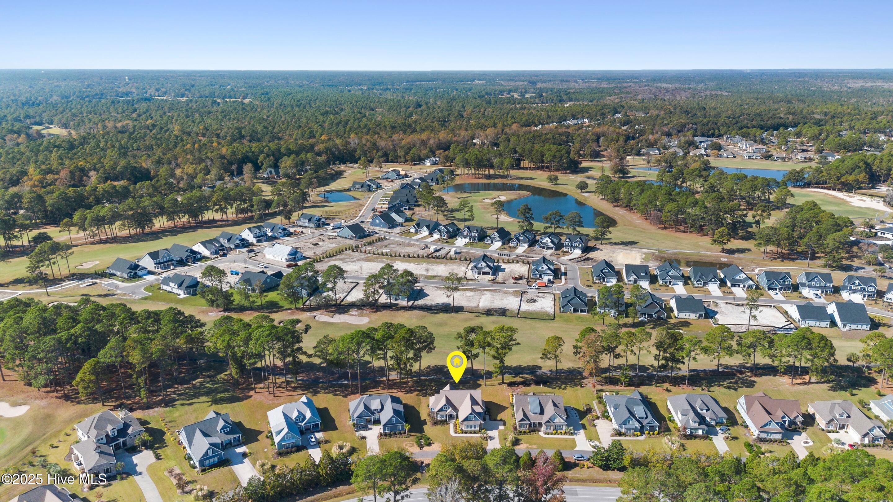 100541782 | Photo 62