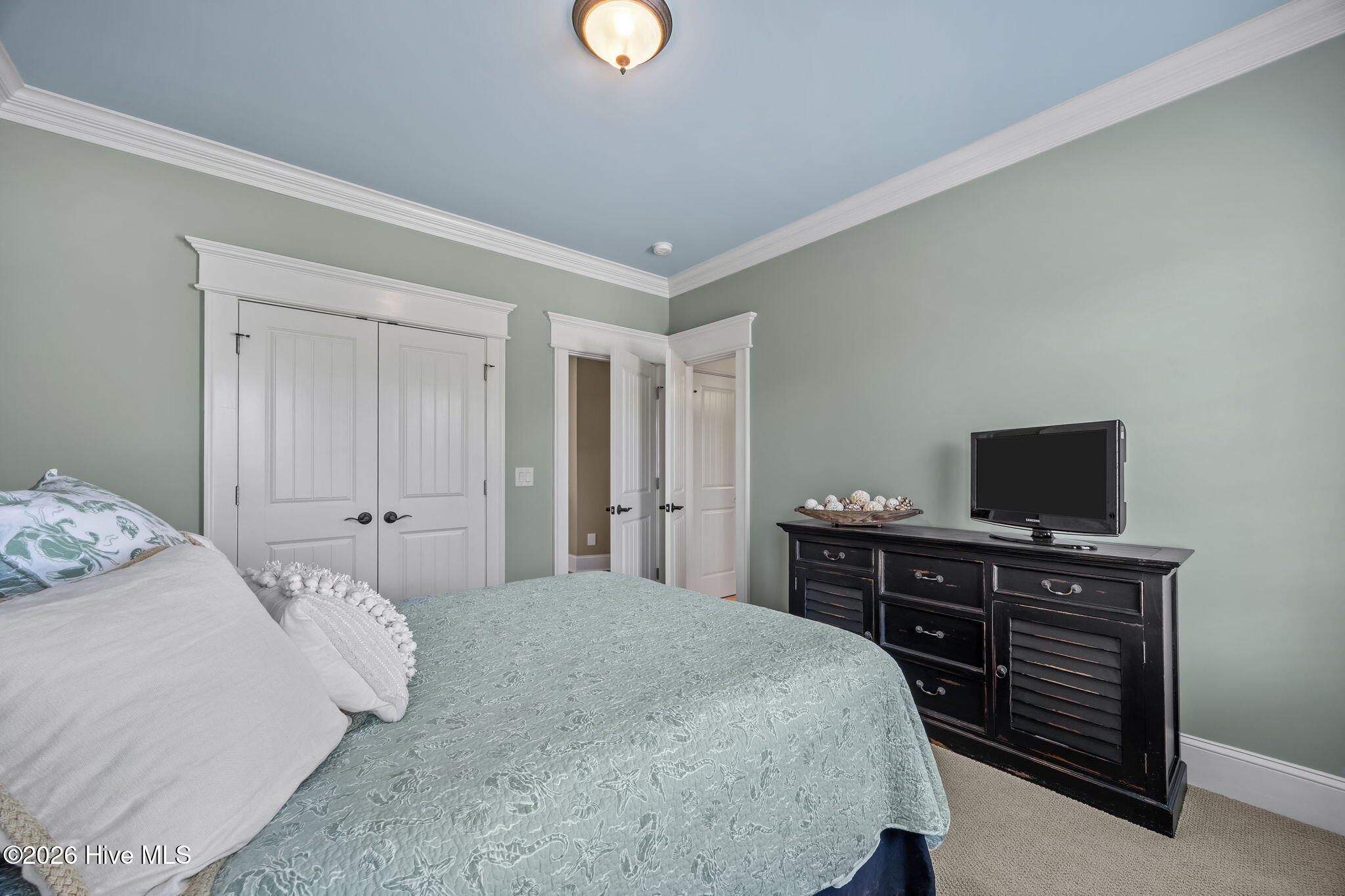 100564617 | Photo 42