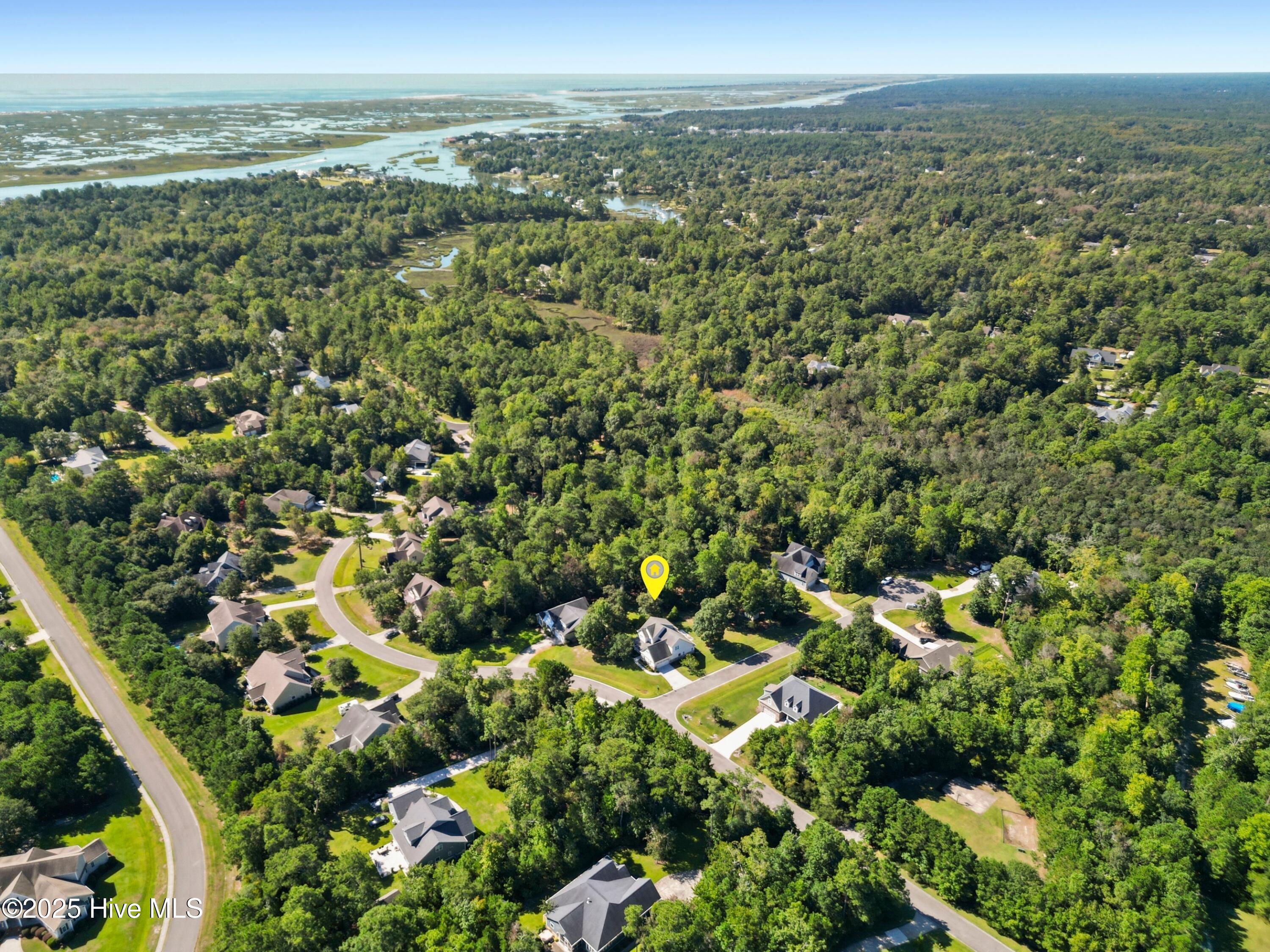 100529495 | Photo 58