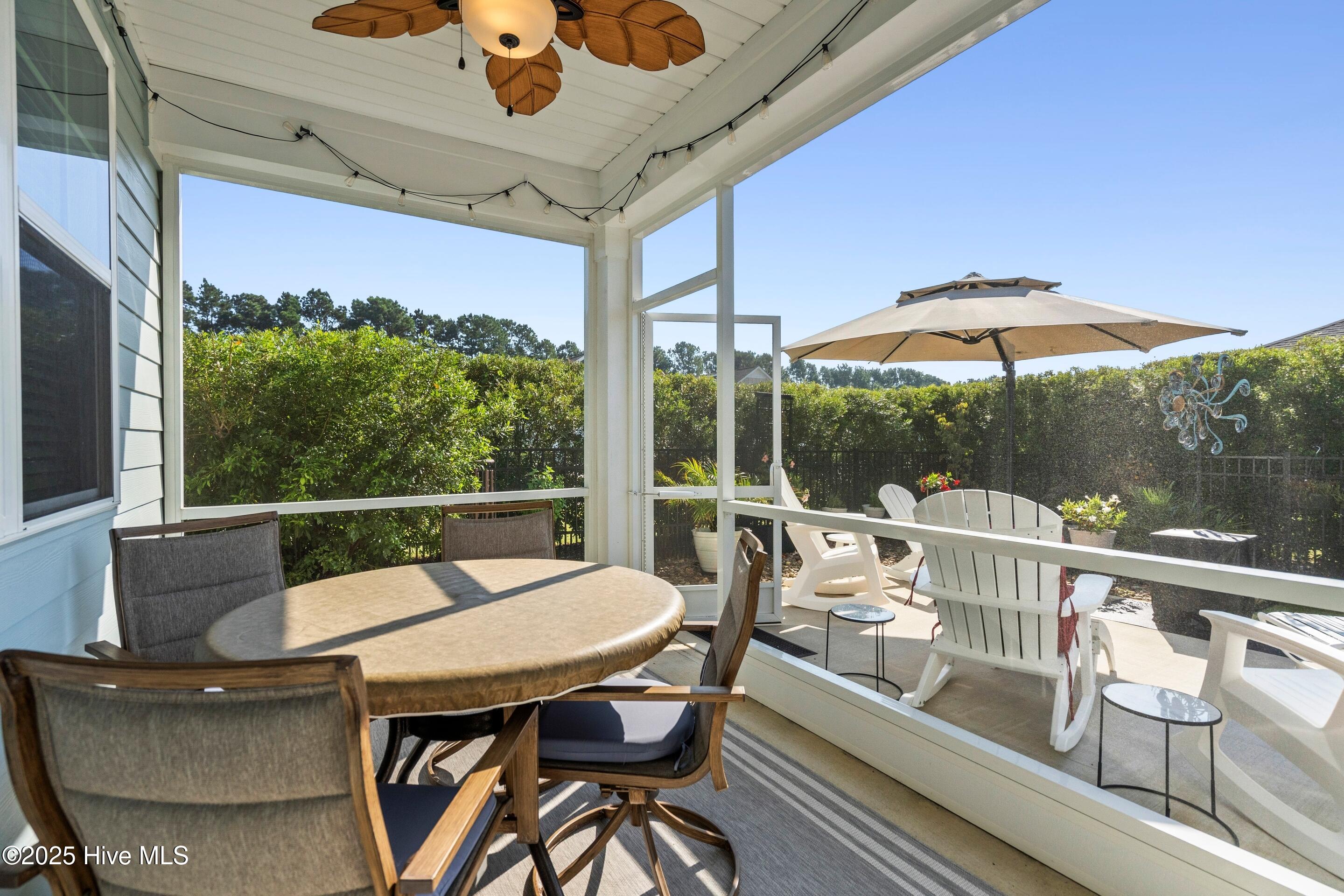 100531826 | Photo 43