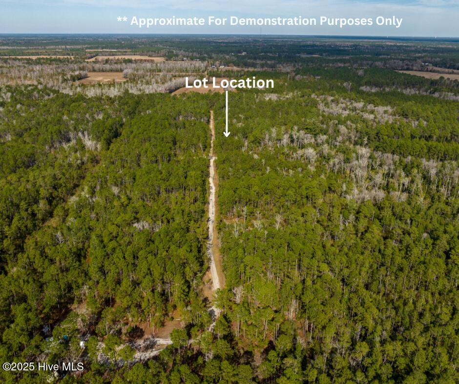 Wildwood Acres Roadway View